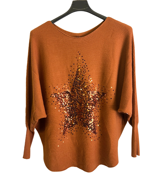 Sequin Star Batwing Sleeve Fine Knit Jumper in Rust